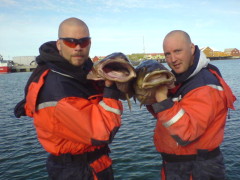 Fula fiskar!